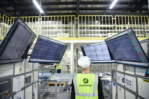 浙江 做優光伏產業 引領綠色發展