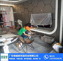 廣東綠居家 除甲醛公司 臺(tái)州除甲醛