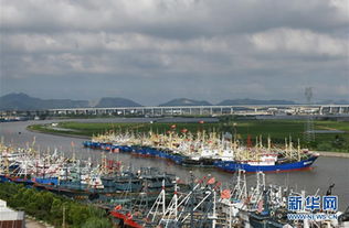 社會(huì)熱點(diǎn)話題